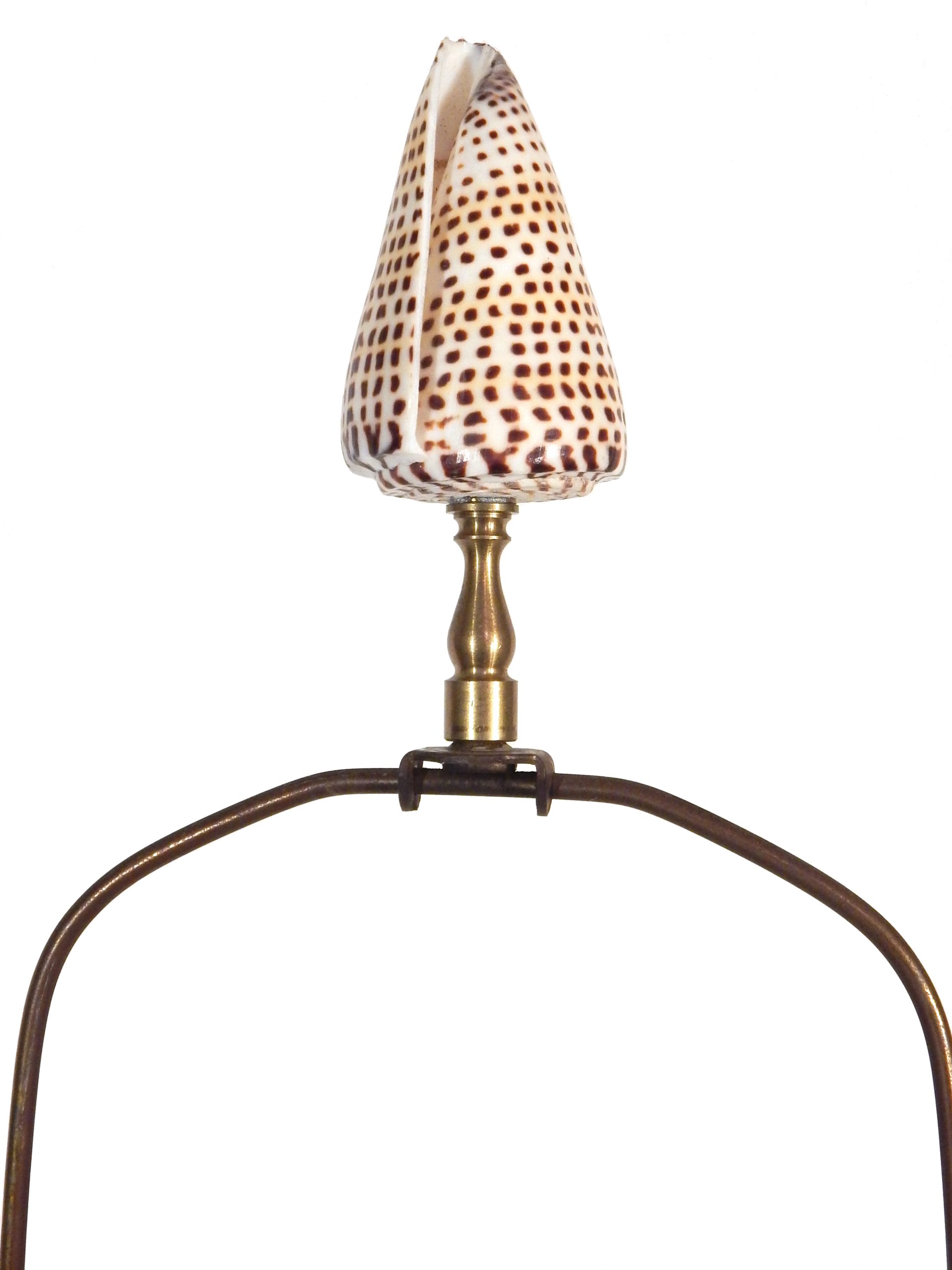 Pair of Cloche Shell Lamps - Image 14