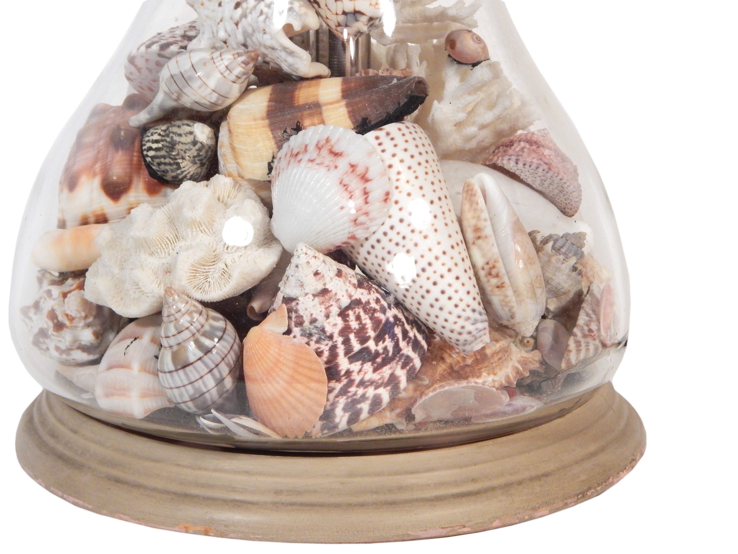 Pair of Cloche Shell Lamps - Image 13