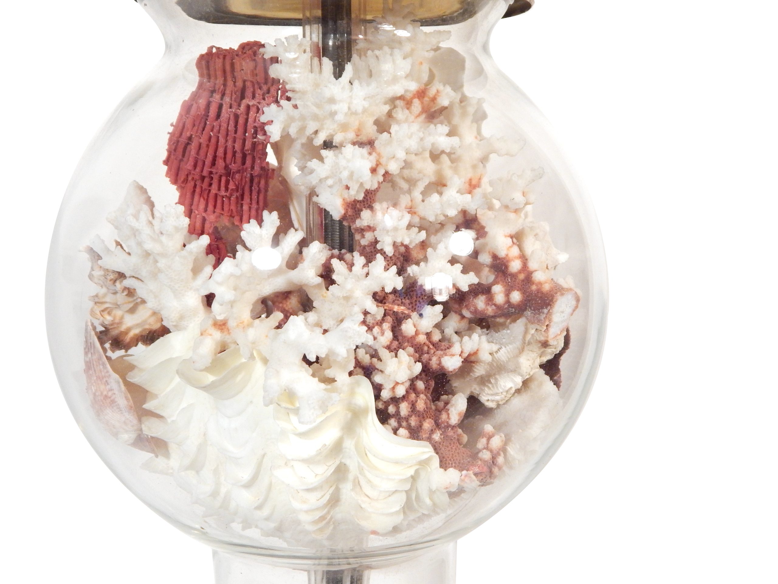 Pair of Cloche Shell Lamps - Image 12