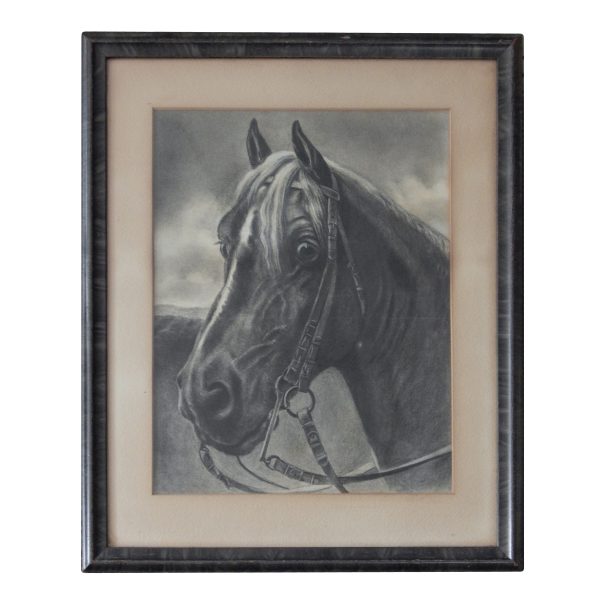 Black And White Drawing of a Horse
