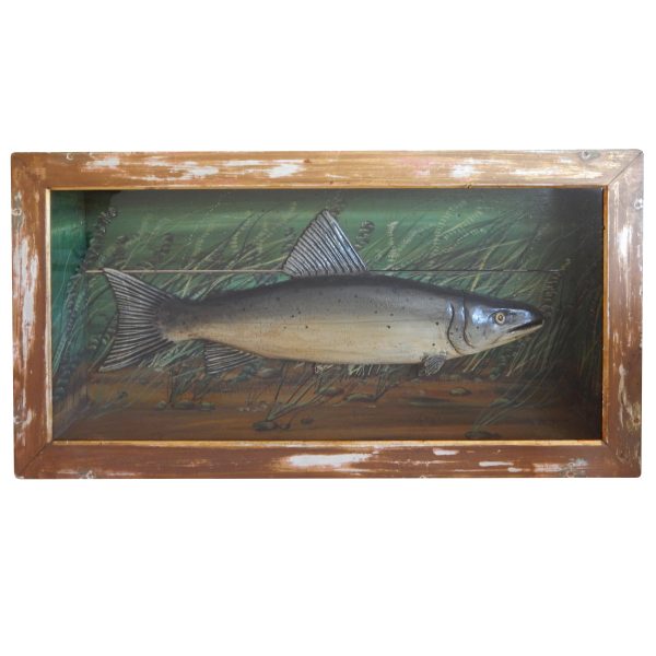 Shadow Box of a Carved Wooden Trout