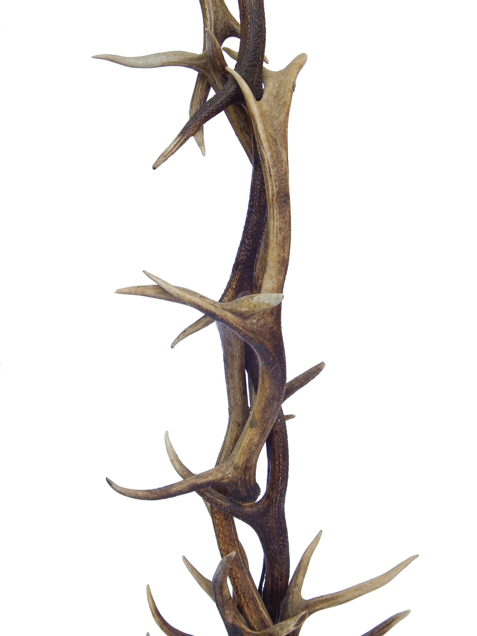 Antler Floor Lamp - Image 8