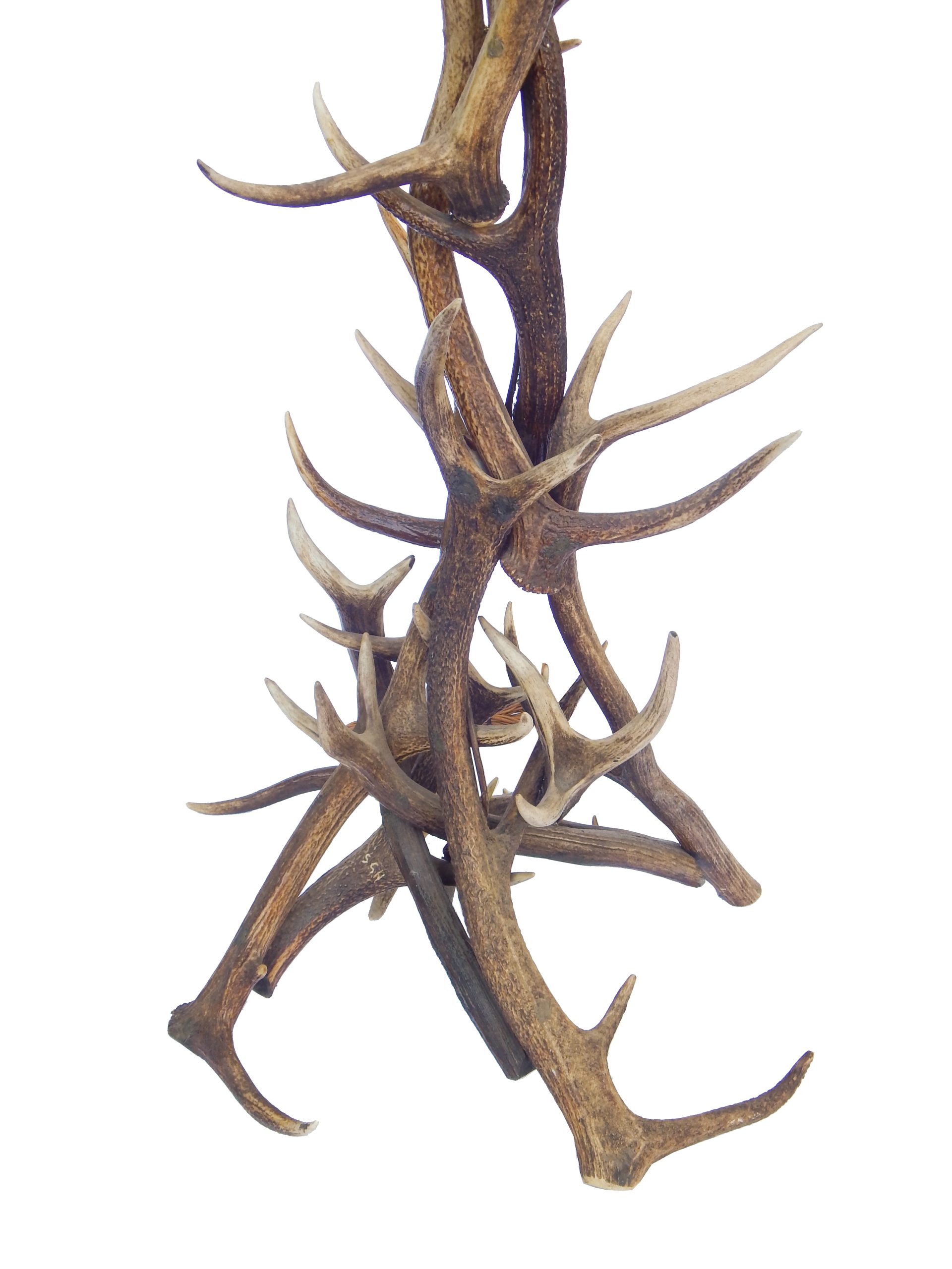 Antler Floor Lamp - Image 9