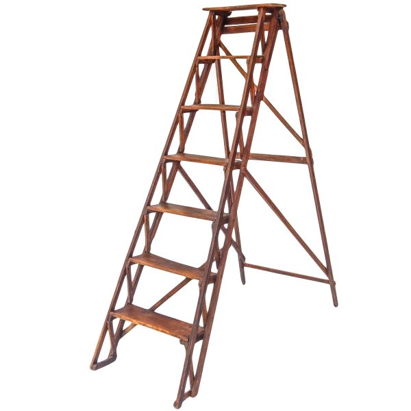 Antique Library Ladder