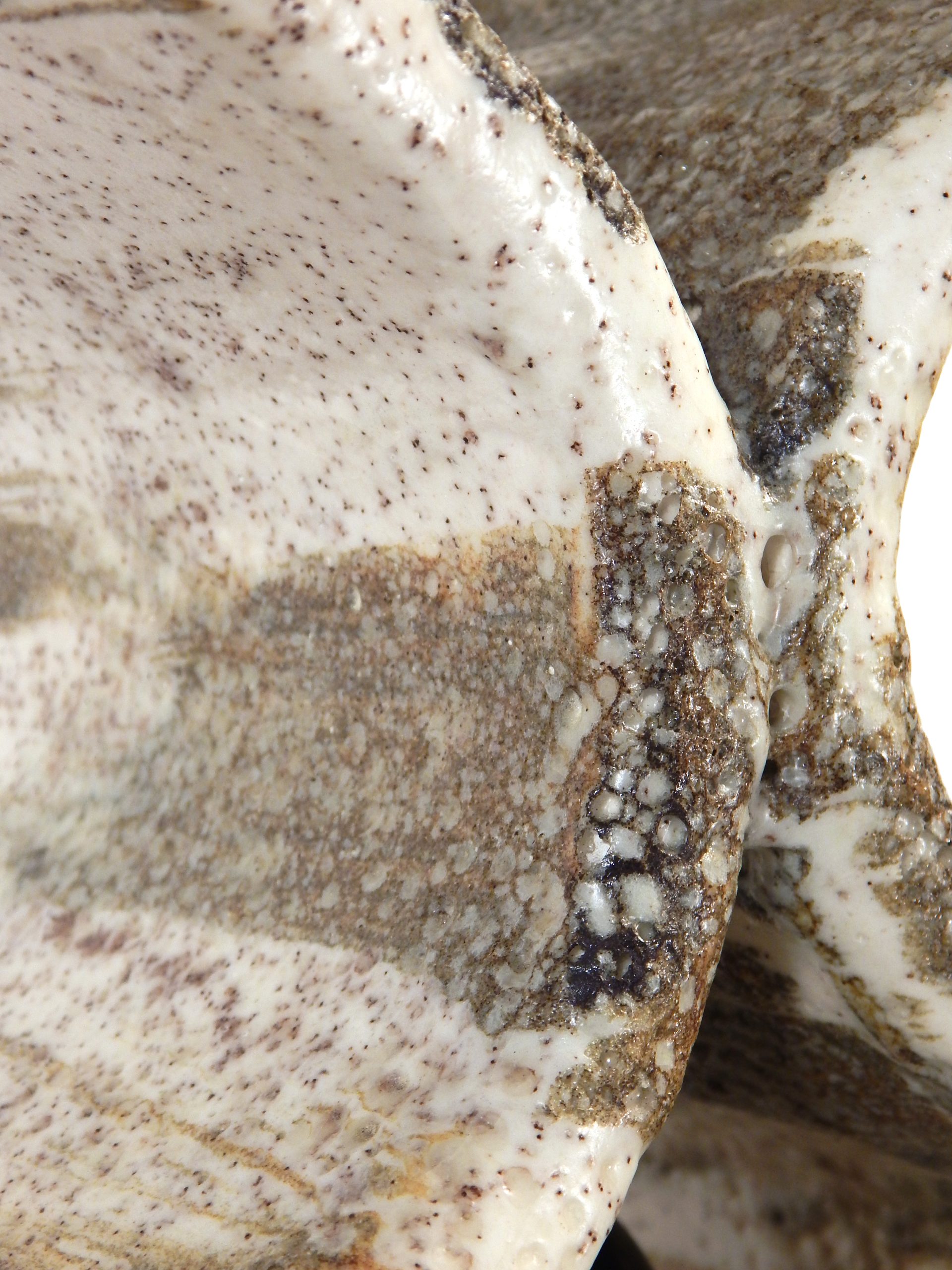 Sculptural Ceramic Table Lamp - Image 11