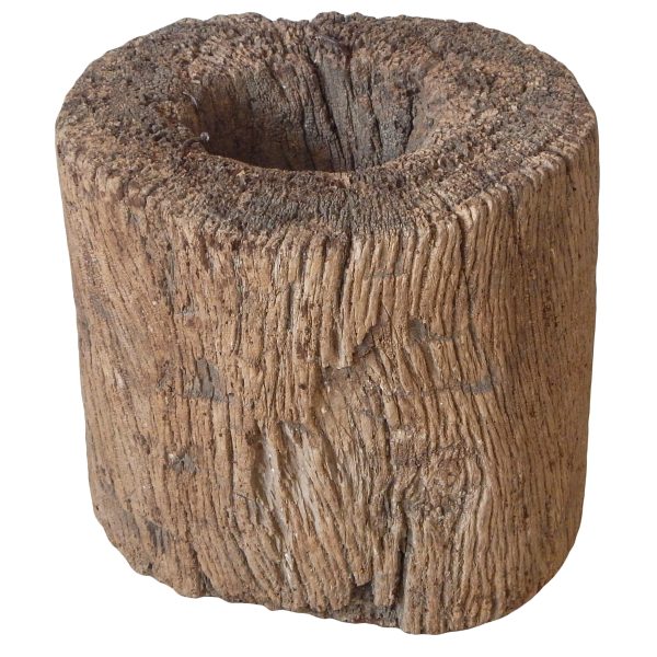 Tree Stump Planter