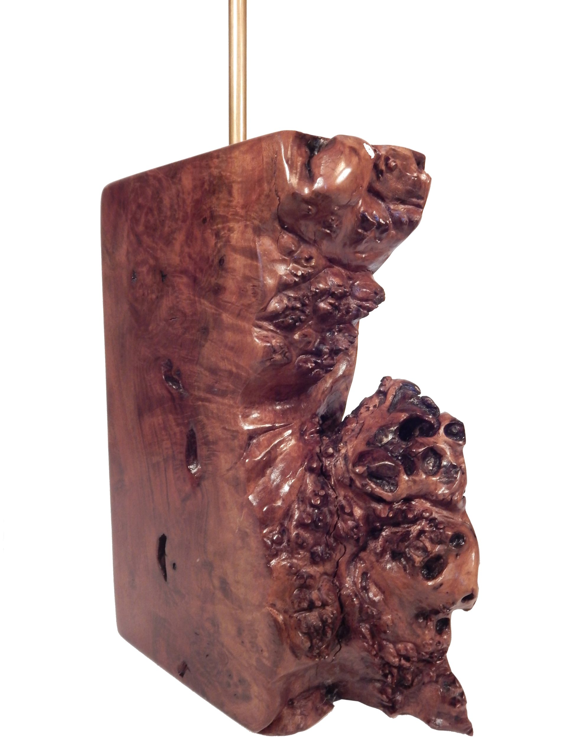Beautiful Burl Table Lamp - Image 10